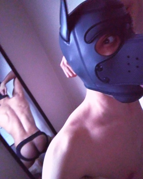 lilbeauxpup:  #RUFF!!!! #pup #pupplay #humanpup #gaypup #gayfetish #gaykink #fetish #kinkster #MrSLeather #neoprene #doggo #puppers #booty🍑 #jockstrap #justincaseunderwear #black