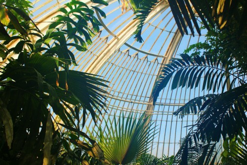 carlynotcarley:Kew gardens is the coolest