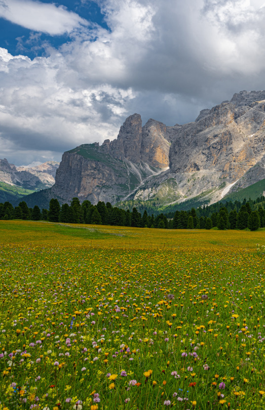 Nice View From Sella - Dolomites