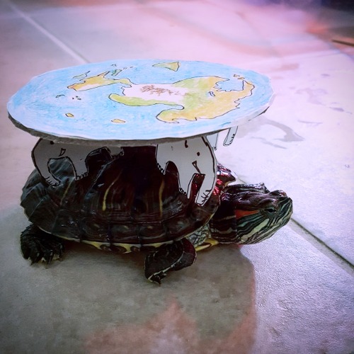 copperbadge: whenflowersfade: blorpulous: my turtle goes trick-r-treating @copperbadge Well a turtle