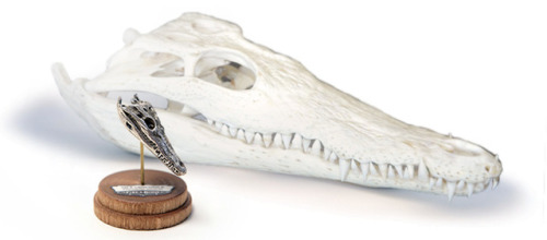 REPTILES SALE!All Reptile skull pendants are on sale for just $35 in bronze and $99 in silver!www.fi