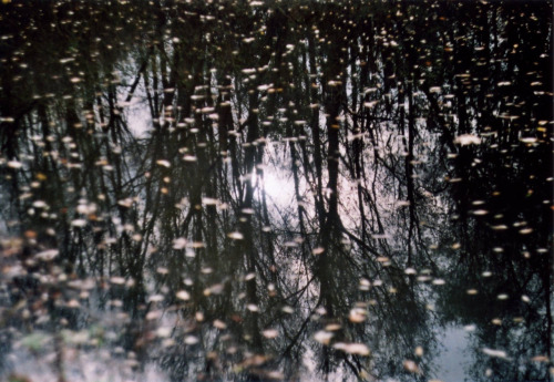 Terry Magson Analogue Photographer