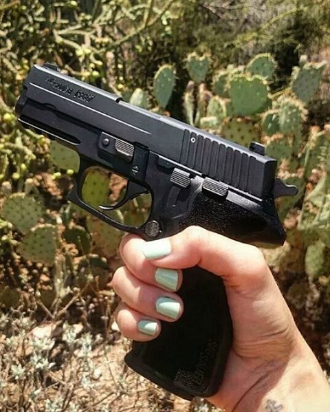 ⠀⠀⠀⠀⠀⠀ ⠀⠀⠀⠀⠀⠀⠀⠀⠀⠀ MΔΠUҒΔCTURΣR: Sig Sauer  MΩDΣL: P227 Enhanced Eli