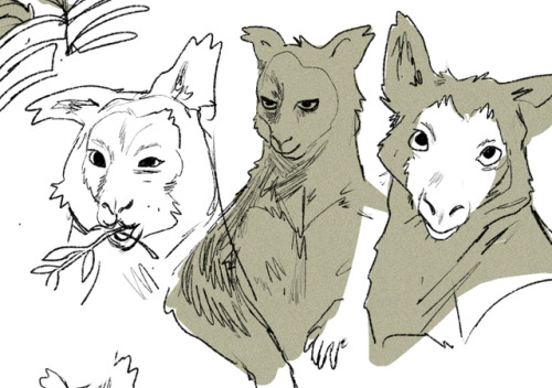 eli-spencer:tree kanga doodles cuz omg theyre CUUUUTE
