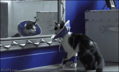 playfulconversati0nstarts:  me. 