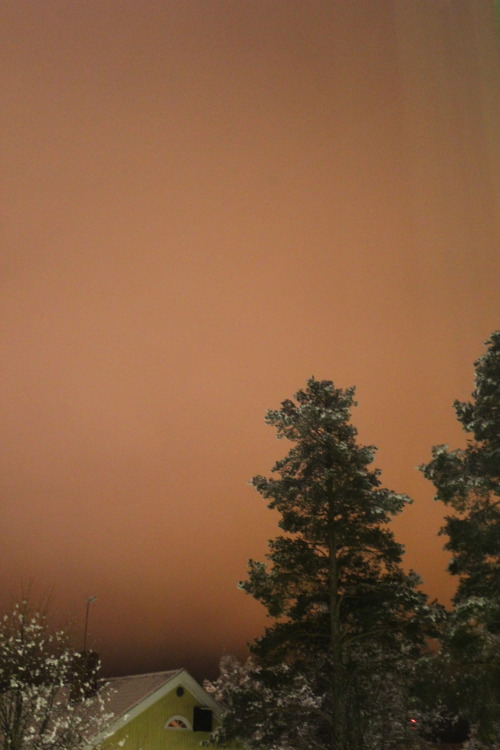 plantcosmos:  its 142am i cant sleep and the streetlights make the sky look red 