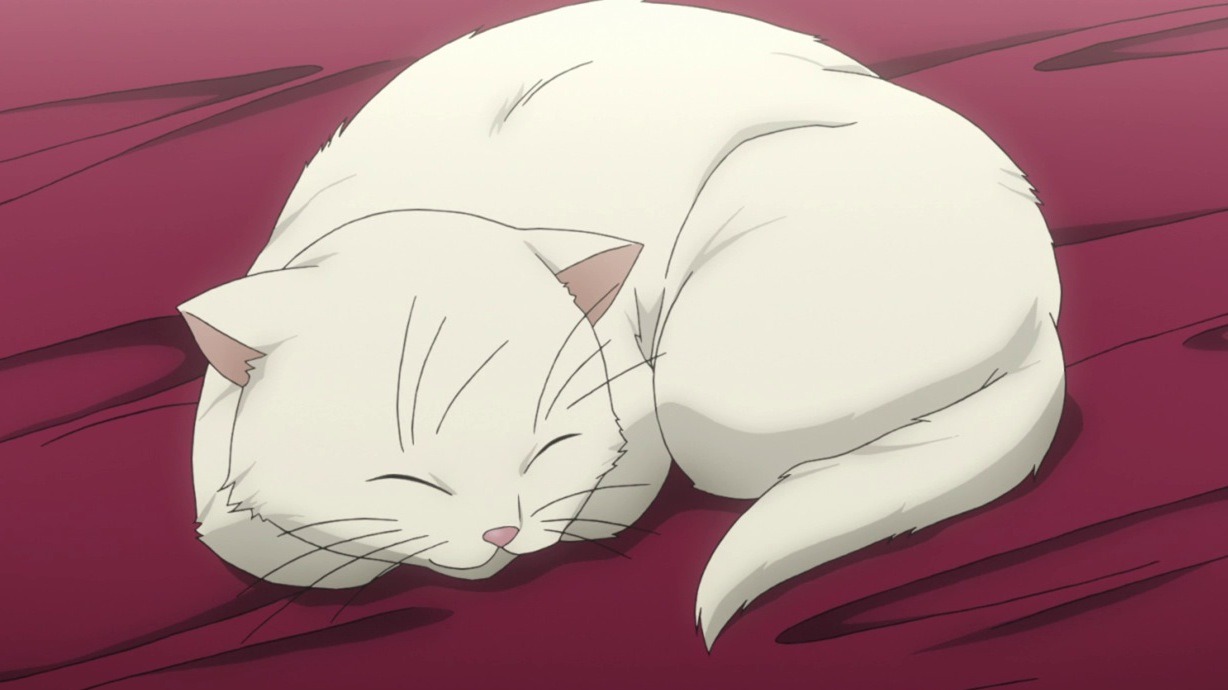 Sleeping Anime Hand Drawn Cat PNG Hd Transparent Image And Clipart Image  For Free Download  Lovepik  611414664