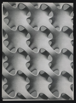 garadinervi:  From:  Art at Yale, Box 1, Folder 14: Clippings, 1958, Josef Albers papers, 1929-1970, Archives of American Art, Smithsonian Institution, Washington, D.C.