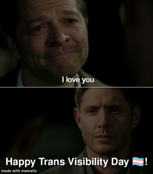 [Image ID: The Destiel Confession Meme Edited So That Dean Answers 'Happy Trans Visibility Day!' With