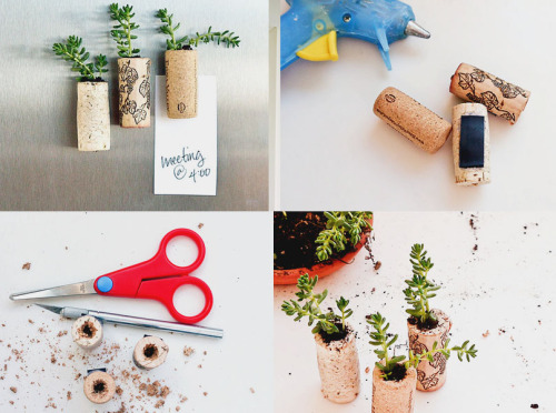 bo-utique: #DIY #DECOR (amamos las plantitas y la pizza)Hola, me apresure en hacer un post por que l