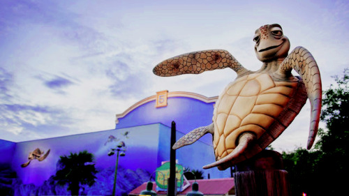Walt Disney Studios | Toon Studio↪   Crush’s Coaster
