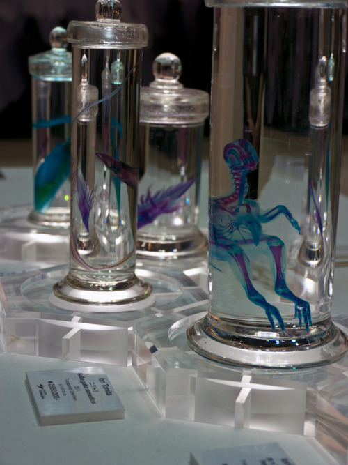 jtotheizzoe:  murderotic:  Iori Tomita - New World Transparent Specimens (2005-) Fisherman-turned-artist in Yokohama City, Japan, Tomita creates art using the skeletons of various dead marine specimens, which he preserves and then colors with bright