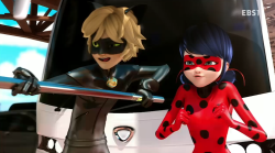marinette-adrien:  miraculer:  they they