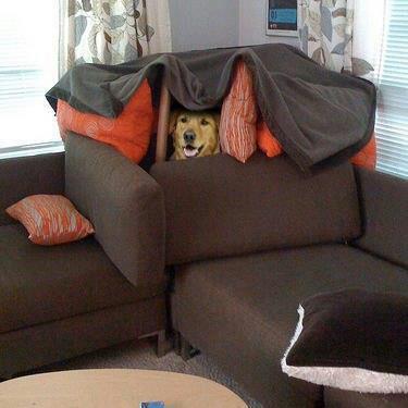 chknnugz:  what’s the password 