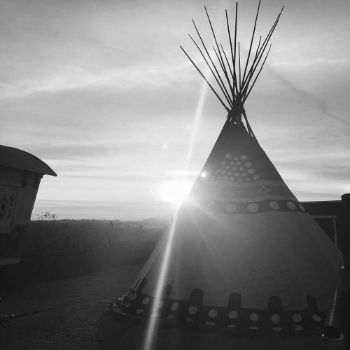 mirandalambert: If you need me.. I&rsquo;ll be in my teepee&hellip;#joshuatree