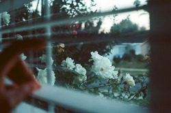 grett:  untitled by christanoelle.tumblr.com on Flickr.