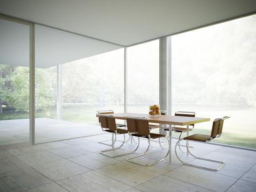 mies van der rohe