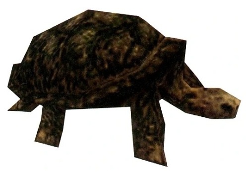 Tortoise from Shadow of the Colossus