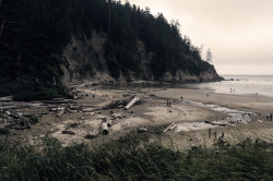 eartheld:  kovthephotographer:  Oswald West State Park, Oregon Smuggler’s Cove Oregon Coast Trail Treasure Cove    