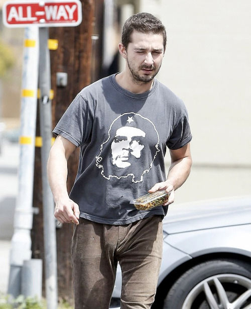 Shia Labeouf’s bulge. adult photos