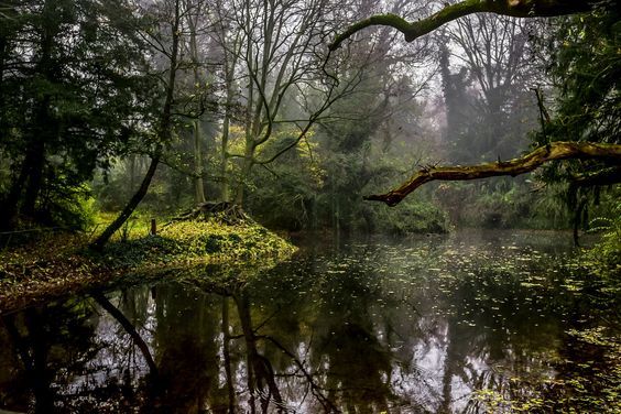 silvaris:   Stop and stare by Alessandra Gandolfi  