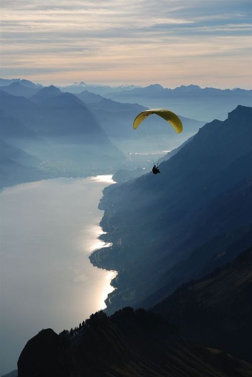 Pinterest'teki en iyi 73 Paragliding görüntüleri, 2018 | Paragliding, Skydiving ve Extreme sports. F