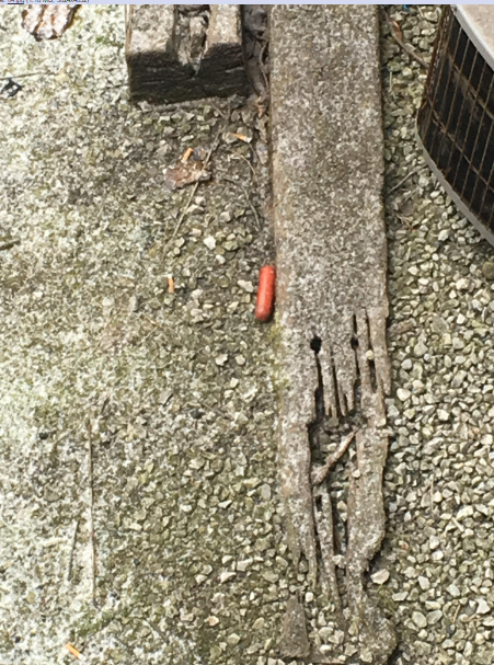 peoplegettingreallymadatfood: rip 