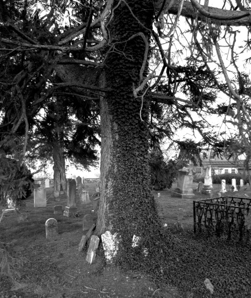johnjhalseth:  Hillsboro United Methodist Church Cemetery. 
