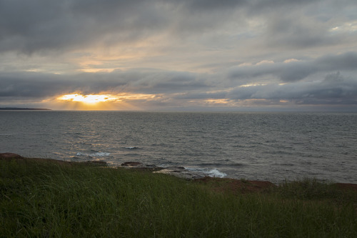 My first glimpse of Prince Edward Island. I’ve wanted to visit there for over 20 years. It&rsq