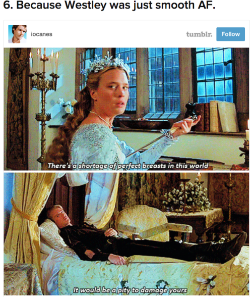 buzzfeedrewind:  Reasons Why “The Princess Bride” Is The Most Important Movie Ever 