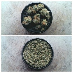 marihuanalegal:  nuug-lyfe:  &ldquo;Marijuana enhances our mind in a way that enables… http://ift.tt/RtFubm