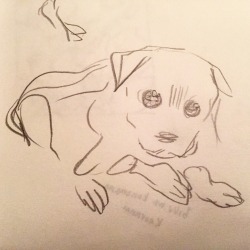 hilaryflorido:  Dawg drawing. Dawg painting.