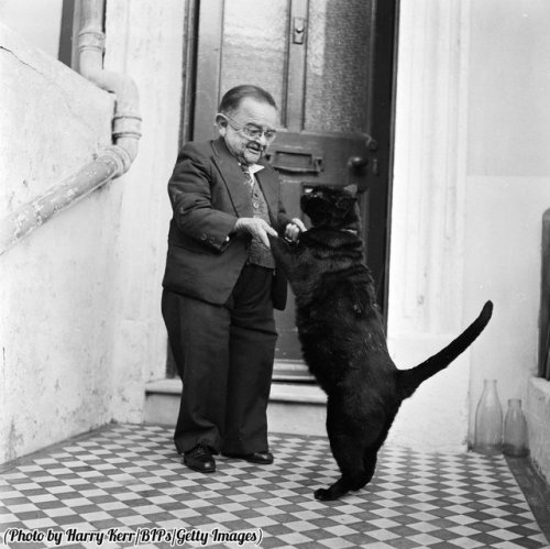 Henry Behrens, the smallest man in the world dances with his pet cat in the doorway of his Worthing 