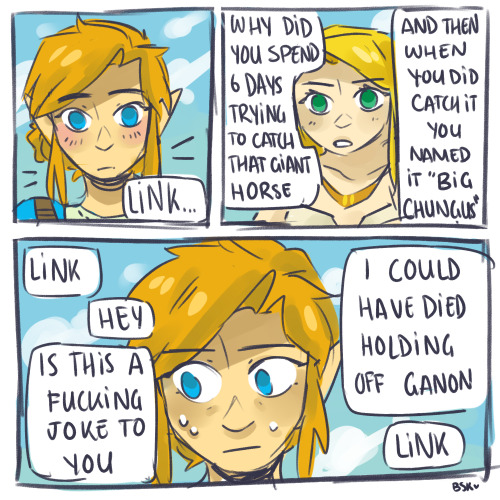 blueskittles-art:it occurred to me today that zelda can see every stupid thing you do in botw