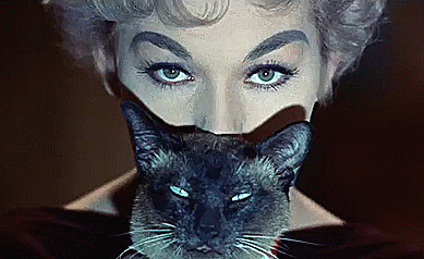 Kim Novak And Pyewacket In The Columbia Pictures/Richard Quine Supernatural Comedy-drama Bell, Book And