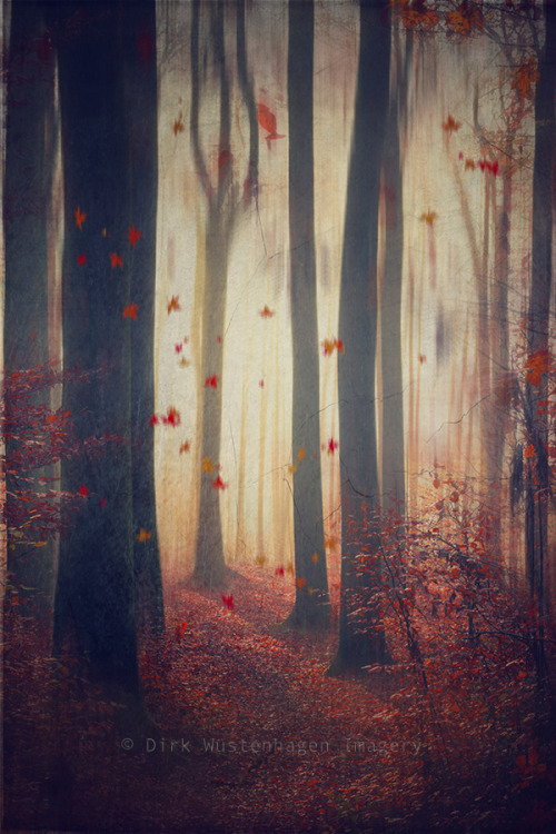 dyrkwyst:  season of change