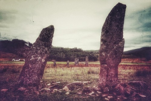 Ballymeanoch Standing Stones, Kilmartin Glen, Argyll, Scotland, 14.7.18.