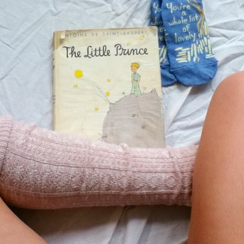 little prince!!