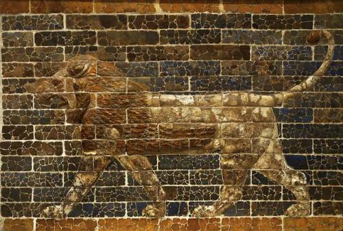 historyarchaeologyartefacts:Glazed brick relief of a striding lion from the palace of Nebuchadnezzar