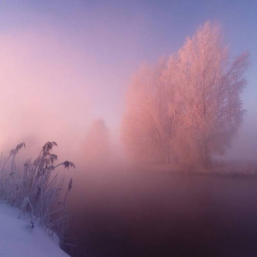 landscape-photo-graphy: Photographer Captures the Pastel Pink and Blue Hues of a Snowy Landscape Pho