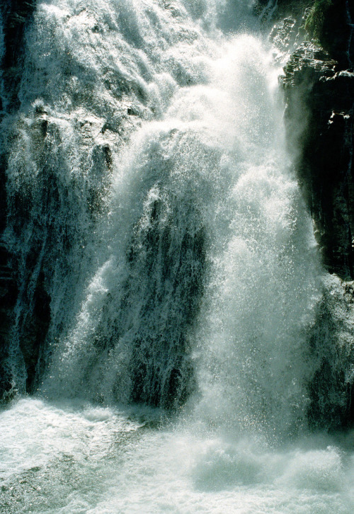 tumblr photo dudebronews 0