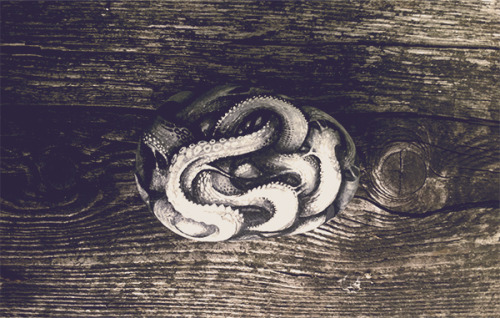inkpuppy:satanlendmeadollar:snakehair:rfmmsd:Artist & Illustrator:DZO OlivierPart of the “