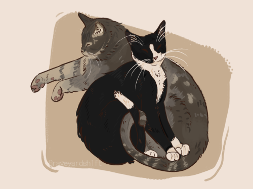 Commision Done For @cynicalfitblrsociety And Her Adorable Cats, Boots And Marshmallow! Had So Much Fun