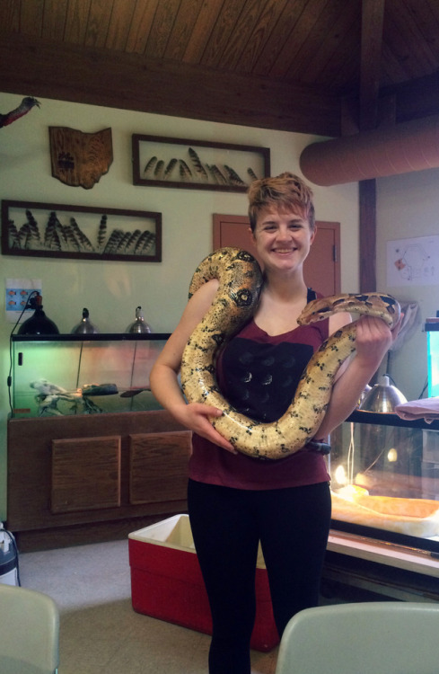 xenondifluoridecb:vampireapologist:the-confused-indian:vampireapologist:Here are some snakes I’ve me