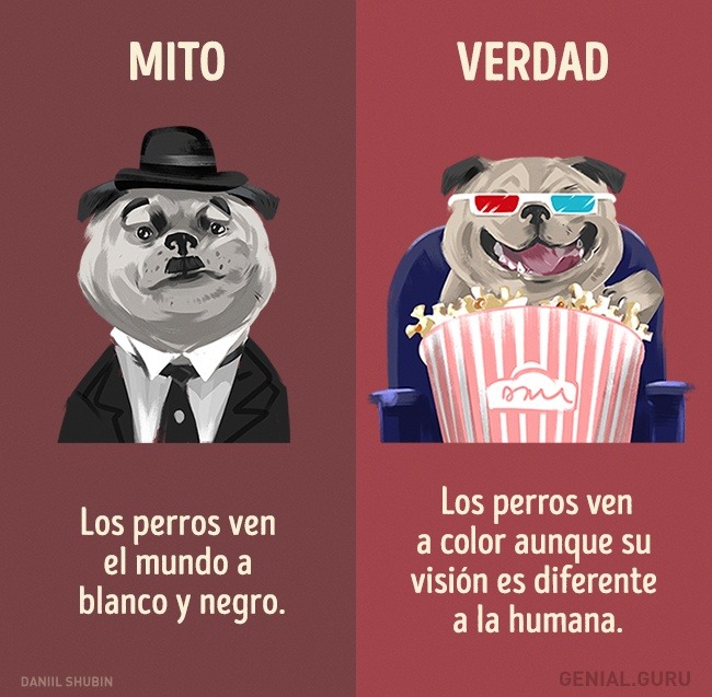SUPER CACHONDEO