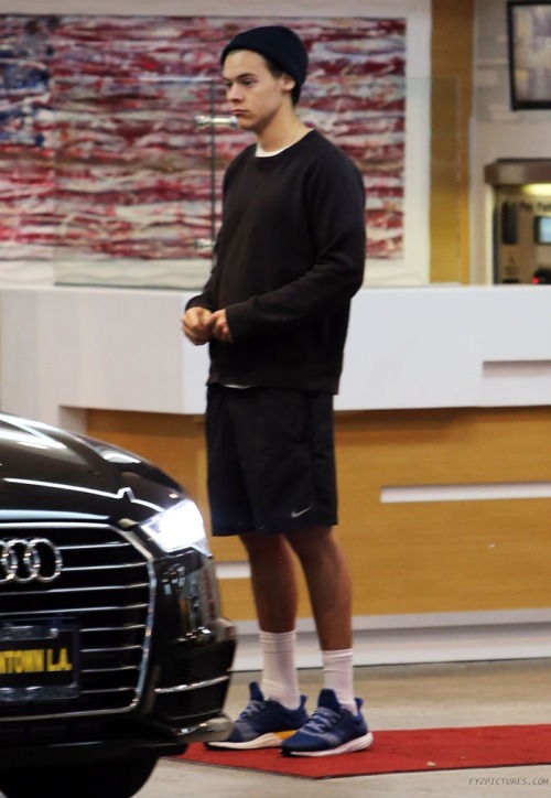 niallhorantheirish: Harry out in Brentwood - April 03, 2016