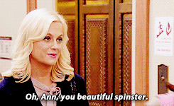 notabadday:  NOW LEAVING PAWNEE: Goodbye, Parks and Recreation  [8/8] EIGHT LINES→ Compliments for Ann  