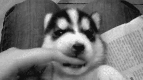你是適合我. ♡
