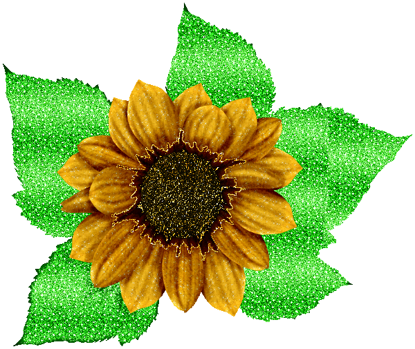 sunflower gifs request
