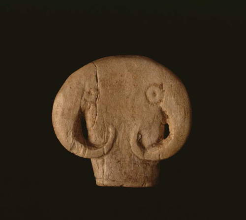 Bull&rsquo;s head amulet Amulet of a bull head made of hippopotamus ivory. Predynastic Period, N